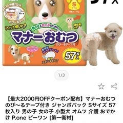 犬用オムツの画像