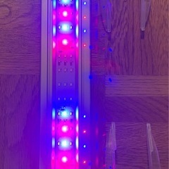 　コトブキ工芸　30㎝水槽用LEDライト　フラットLED 300の画像