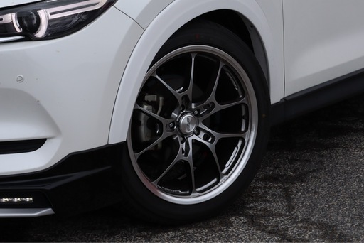 RAYS VOLKRACING G025LC