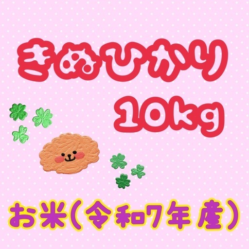 きぬひかり10kg