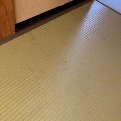 畳の画像