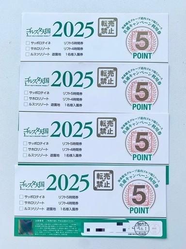 ルスツリゾート　遊園地　ゴルスタ天国　　入園チケット　入場券