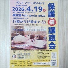4月19日東尾道で保護猫の譲渡会
