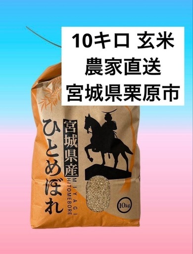 宮城県栗原市産 ひとめぼれ 10kg 玄米 農家直送 令和7年 環境保全米