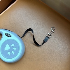 犬　散歩　リード　3mの画像