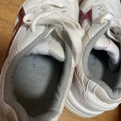 体育館シューズの画像