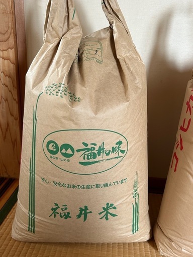 福井県産コシヒカリ玄米３０kg(令和6年産)です。