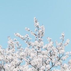 カメラ友達募集 - 友達