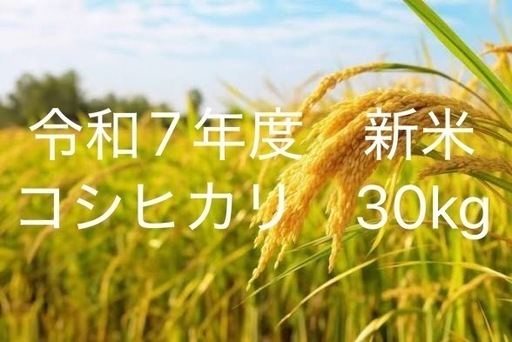 令和7年産　コシヒカリ玄米 60000円4袋　受け渡し者決定 