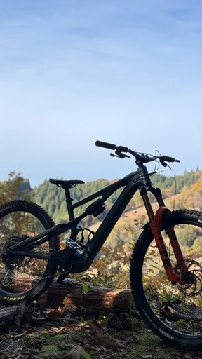 スペシャライズド　levo sl comp  カスタム