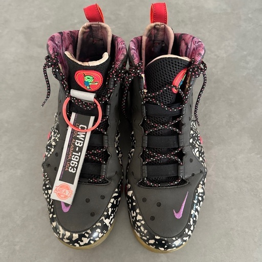 【希少品】【最終価格】NIKE Barkley Posite Max 'Area 72' Charles Wade Barkley