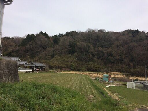 令和7年産　話題の【にこまる】食べてみませんか！　玄米30Kg　限定3本