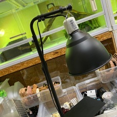 爬虫類　GEX ライトドーム18cmの画像