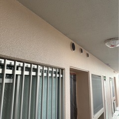 過去の塗装の写真です！の画像