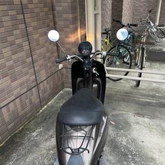 原付　ホンダ　トゥデイ 自賠責加入済みの画像