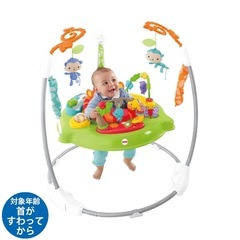 Fisher-Price レインフォレスト・ジャンパルー　II
の画像