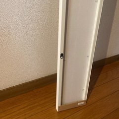 カガミの画像