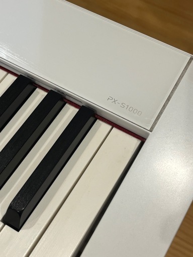 CASIO pravia PX-S1000
