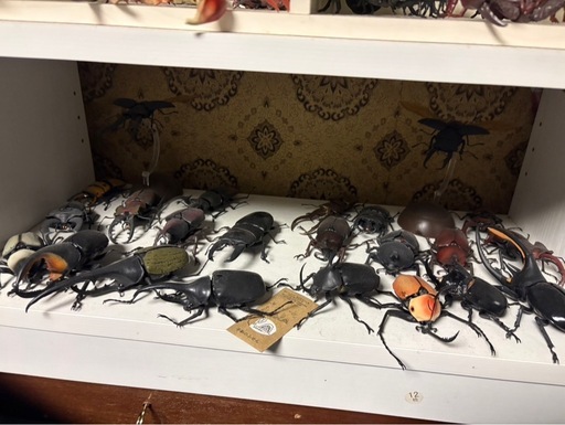 生き物図鑑