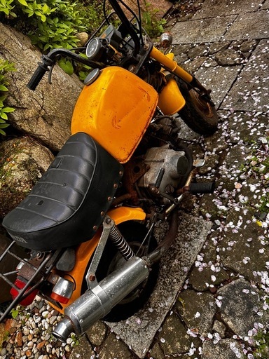 HONDAゴリラ50実働