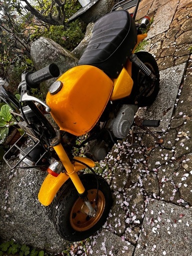 HONDAゴリラ50実働