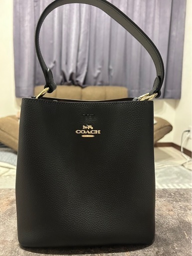 COACH　コーチ　モリーバケット