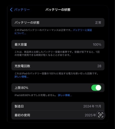 iPad Pro M4 11インチ　美品