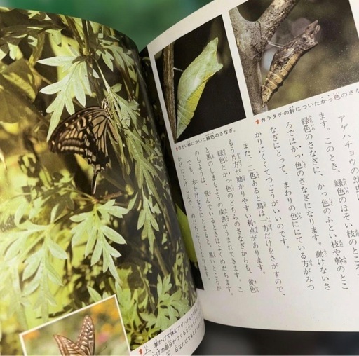 科学のアルバム全巻103冊