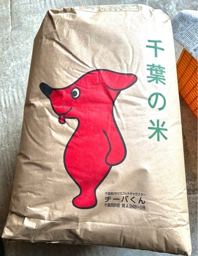 令和7年 千葉県産 コシヒカリ60kg (30kg✖️2) 玄米　