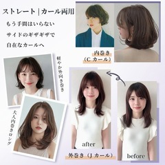 ヘアアイロン ヒートブラシ ブラシアイロン ストレートアイロン ストレートヘアアイロン ストレートブラシ マイナスイオン ブラシ型ヘアアイロン の画像
