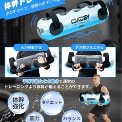【新品みし未使用】【MAX30kg】ウォーターバッグ トレーニング ウエイト 筋トレ ダイエットの画像