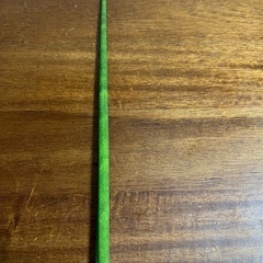 サンセベリア　ミカド(バキュラリス)の画像