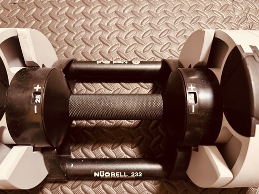 【限定色美品】 フレックスベル 32kg×2