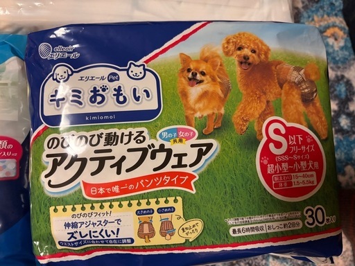 ペット用オムツとマナーパッド　トイプードル