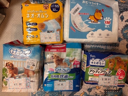 ペット用オムツとマナーパッド　トイプードル