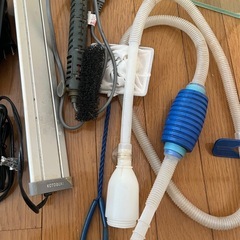 魚🐟メダカ🐟などなどセットの画像