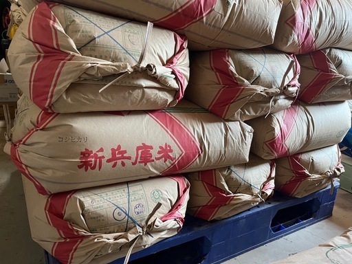 令和7年　コシヒカリ　玄米30kg