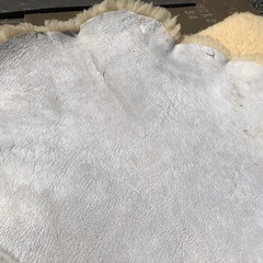 早い方優先‼︎ ムートンラグの画像