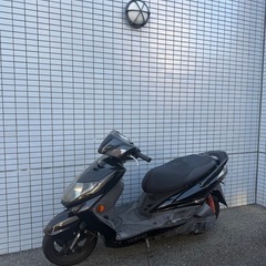 シグナスX 2型　　の画像