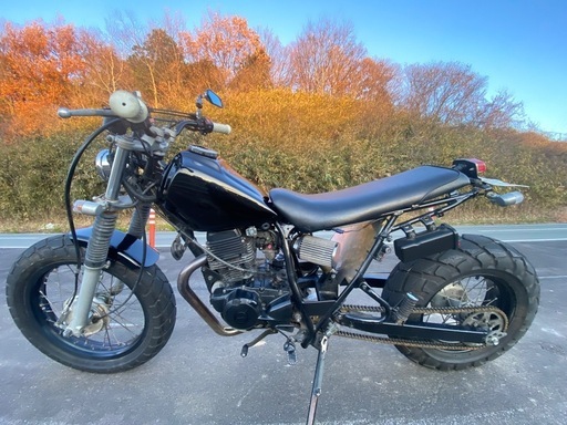 バイク tw200   2jl