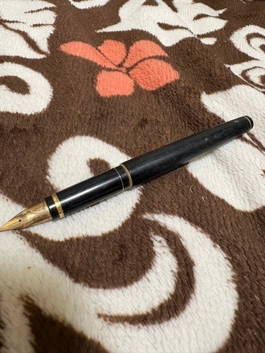 万年筆　pilot 14k