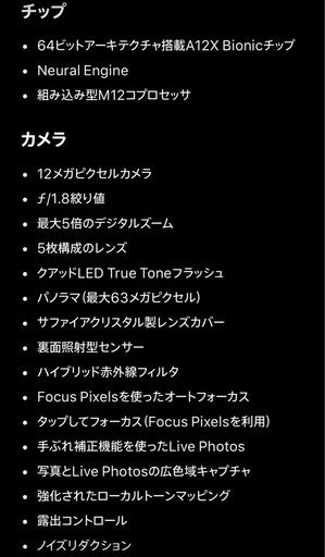 iPadpro11インチ　第一世代　256GB