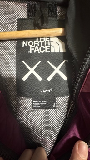 The North FacexKAWS MOUNTAIN JA CKET