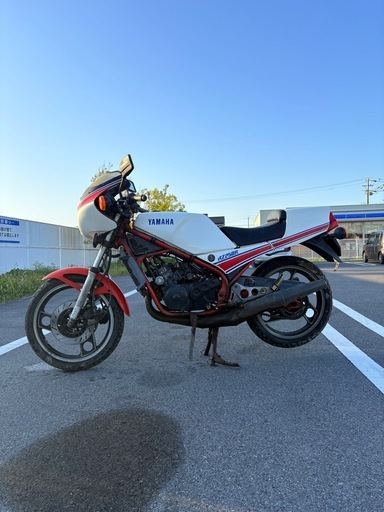 ヤマハ RZ250R / 8115km / 29L-****