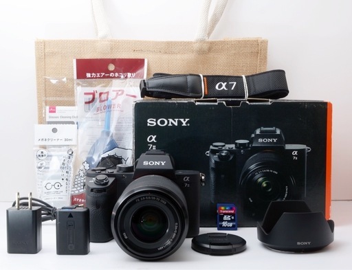 S数約990回！SONY α7Ⅱ★美品★すぐ使える★おまけ多数  1ヶ月動作補償あり！