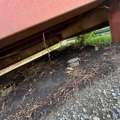 シャッター付き物置の画像