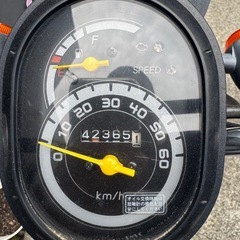 ホンダのトゥデイJBH-AF67の画像