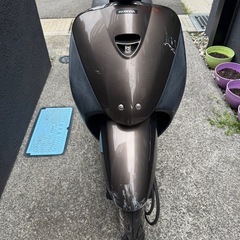 ホンダのトゥデイJBH-AF67の画像