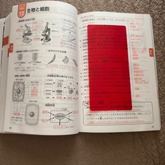 中学生の5科ポイントの画像