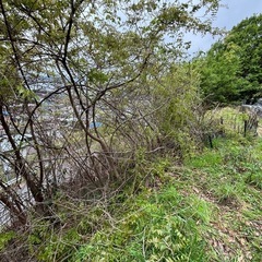 山での作業 − 広島県